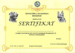 Verified Certificate