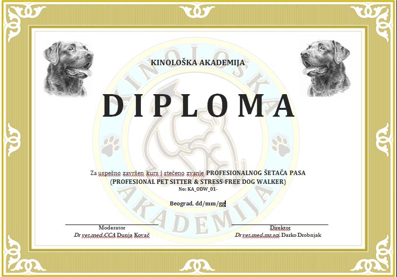 Verified Certificate
